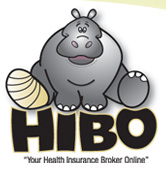 Health insurance Hippo